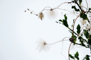 3732-Edit copy copy.jpg