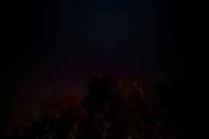 Rokinon SP coma 2 resized.JPG