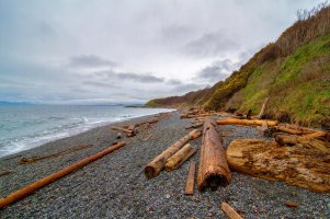 _MG_5169 copy-Edit.jpg