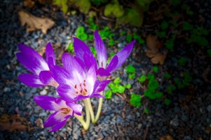 _DSF1095 7.56.30 PM.jpg