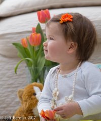 IMG_7484.jpg