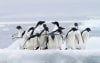 Antarctica70.jpg