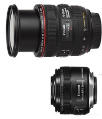 To L or not to L (macro).jpg