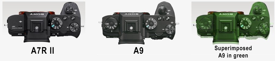 A7R II vs A9.jpg