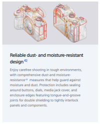 Screen Shot 2017-04-20 at 10.29.09 AM.png