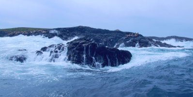 Rugged West Coast of Vancouver Island with Sea Lions.jpg