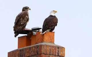 2017-04-07 at 16-03-25.jpg