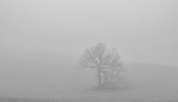 brouillard 1 - Copie.jpg