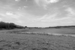 _DSF4349-2-Edit (1).jpg