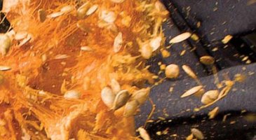 Speedliter's Handbook - Learning to Craft Light with Canon Speedlites 1.jpg