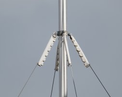 Sigma_150-600_600mm_3Q7A9633_DxO_u.jpg
