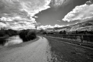 _MG_5097 copy (1).jpg