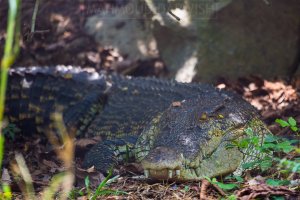 20160430-IMGL9639.jpg
