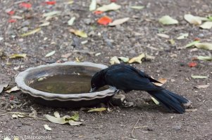 2. I had a swig or a million... H20 is just fine....jpg