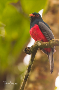 Captura de pantalla 2017-06-14 a las 16.43.07.png