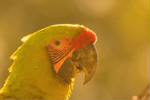 Captura de pantalla 2017-03-06 a las 9.13.44.png