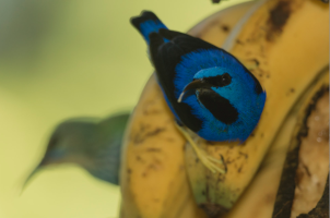 Captura de pantalla 2017-03-06 a las 9.14.58.png