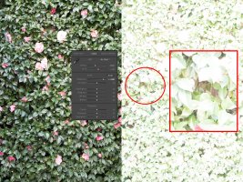 20000101-IMG_3880 50mm f6.3 ISO 3200-4.jpg