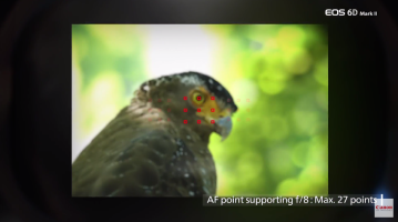 Screen Shot 2017-07-21 at 9.10.43 AM.png