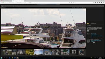 14 out of 50 lower part of the image print screen.jpg