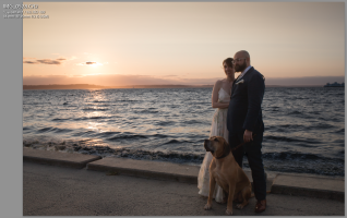 Screen Shot 2017-07-26 at 9.45.19 AM.png