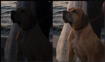 Screen Shot 2017-07-26 at 10.35.16 AM.png