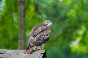 IMG_6D2_00340 (1)-3.jpg