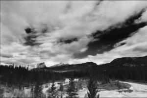 _DSF1554 copy copy.jpg