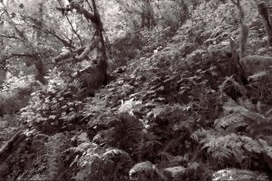 _DSF1492 copy copy.jpg