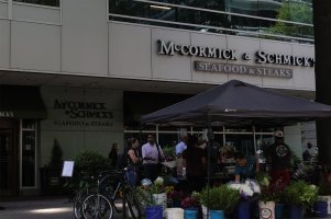 IMG_6D2_00563 original 1.jpg