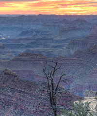 Screen Shot 2017-08-07 at 1.31.11 PM.png