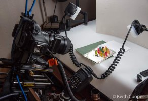 macro-rig-setup.jpg
