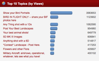 Top 10 Topics by Views.png