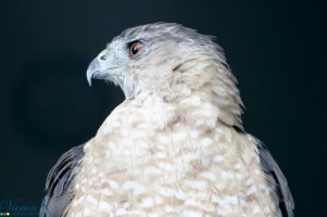 2016-07-30_7664 2.jpg