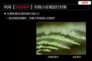 Nikon-D850-camera-presentation-leaked-21.jpg