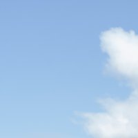 _MG_5077-100% crop.jpg