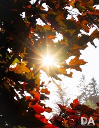 15 My Ryan - Turning 10-2.jpg