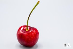 16 Macro Samples-2.jpg