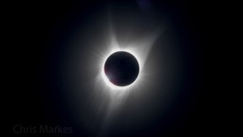 594A3813-2.jpg