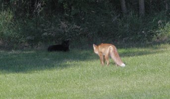 No you'll be sorry_3512.JPG