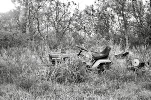 _DSF6444 copy copy.jpg