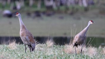 Sometimes we don't_s_16455.JPG