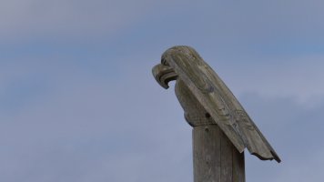 It's a bird_16799.JPG