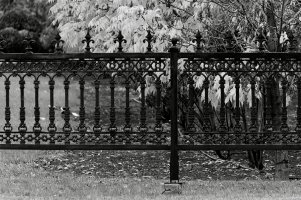 Iron fence.jpg