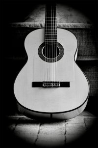 Flamenco Guitar b&w copy copy.jpg