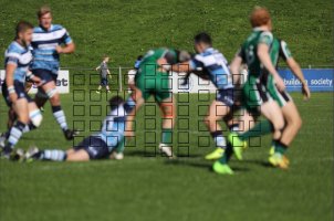 Single Point AF 2.jpg