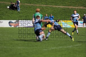 Single Point AF 3.jpg