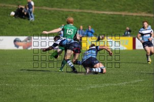 Single Point AF 4.jpg