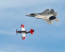 mustang meets raptor                                          .JPG