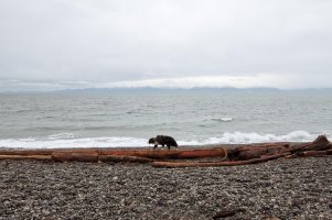 _MG_5157 copy-Edit_Snapseed.jpg